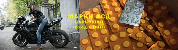 прущие грибы Алзамай