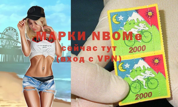 прущие грибы Алзамай