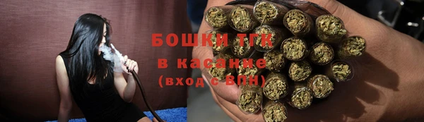 прущие грибы Покров