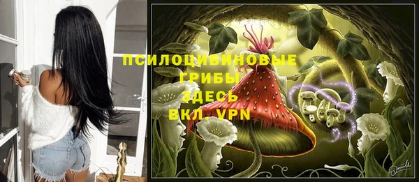 ALPHA PVP Покровск