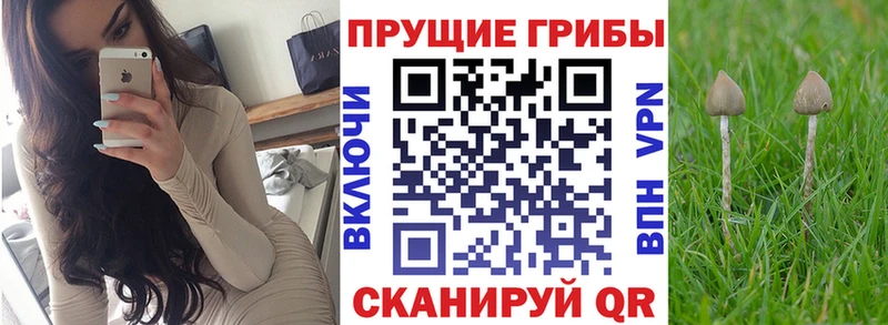 Галлюциногенные грибы мицелий  цена наркотик  Можга 